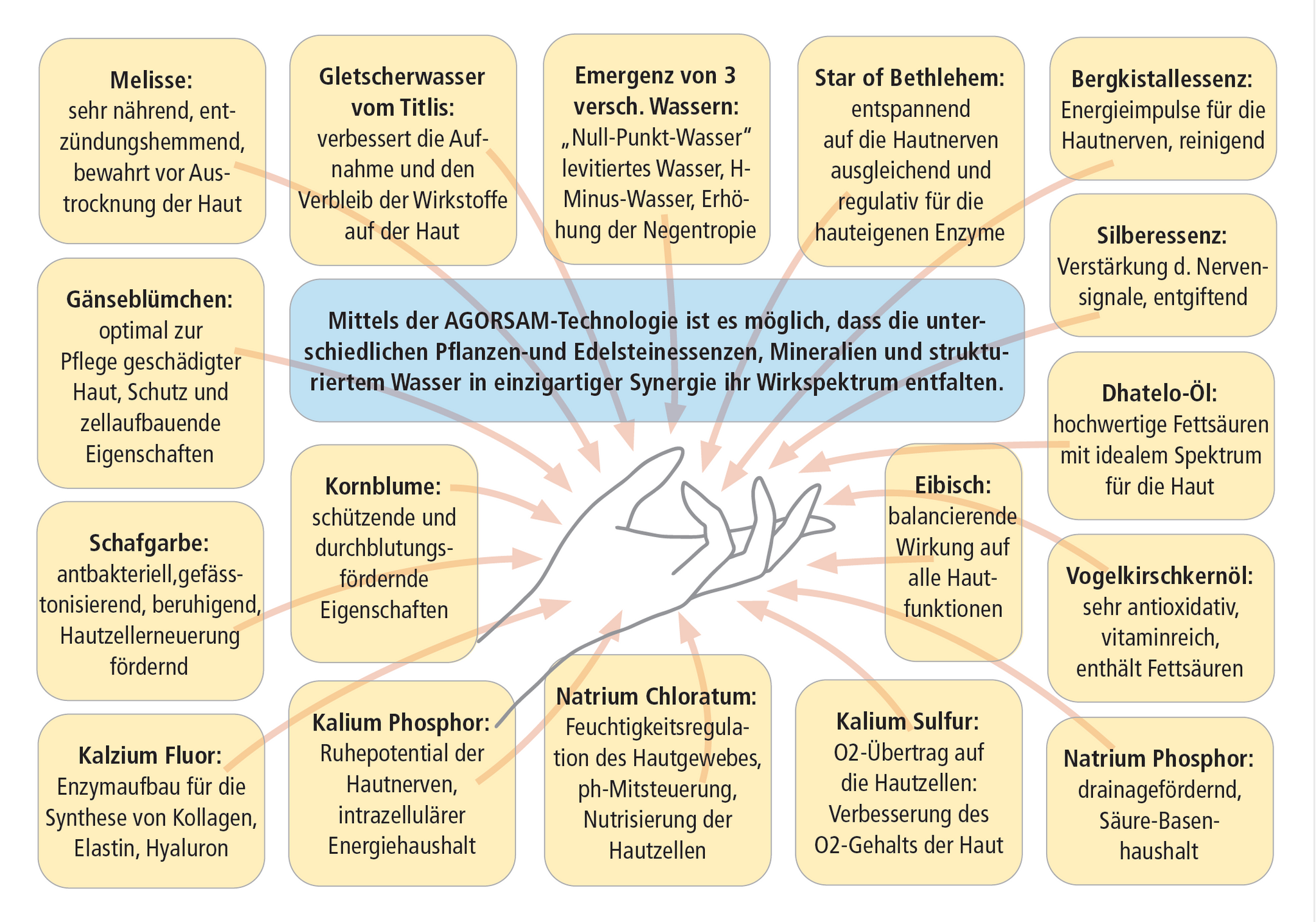 AGORSAM | Hand-Sens | 4HarmonieProdukte