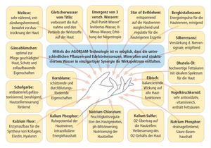 AGORSAM | Hand-Sens | 4HarmonieProdukte